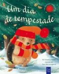 UM DIA DE TEMPESTADE - um livro para sentir e tocar
