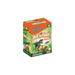 DINO EGGS - ANKYLOSAURUS