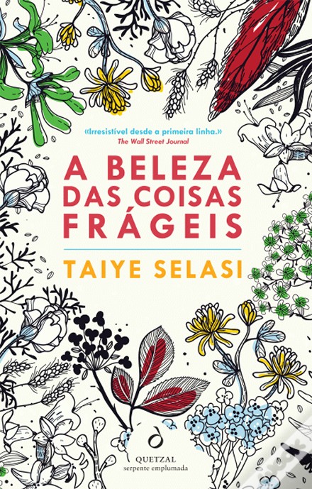 BELEZA DAS COISAS FRAGEIS