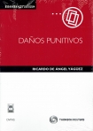 DAÑOS PUNITIVOS
