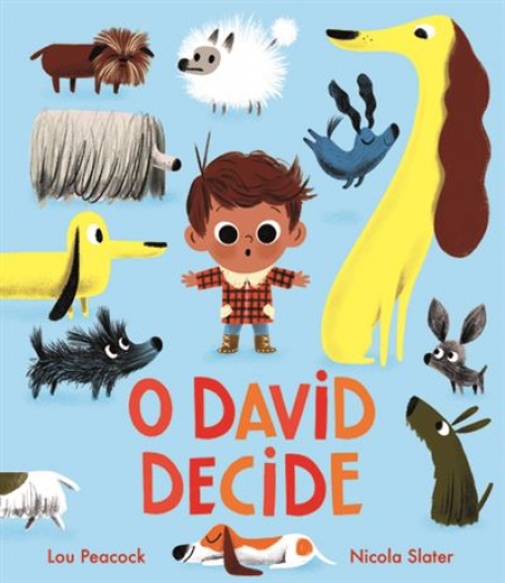 O DAVID DECIDE