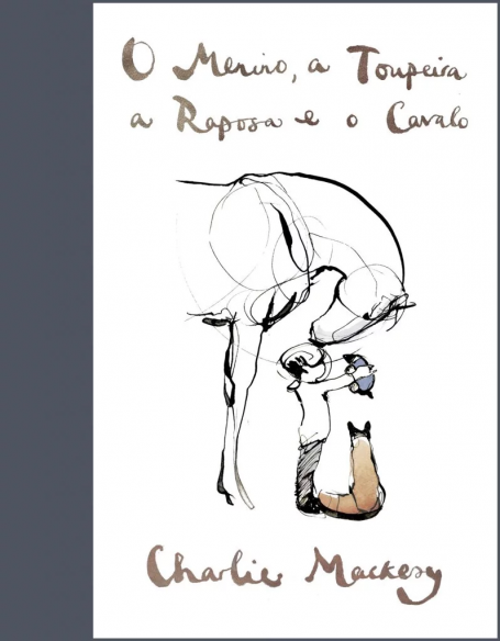 O MENINO A TOUPEIRA A RAPOSA E O CAVALO