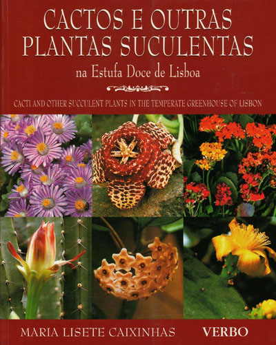CACTOS E OUTRAS PLANTAS SUCULENTAS em estufa doce de lisboa