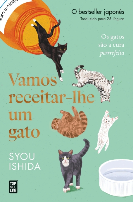 VAMOS RECEITAR-LHE UM GATO