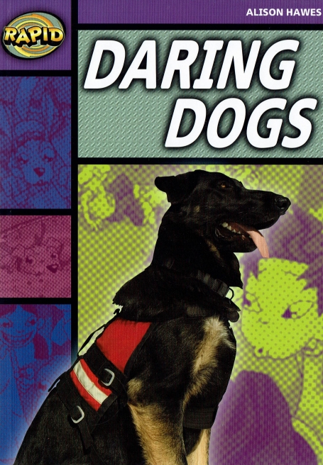 DARING DOGS - RAPID