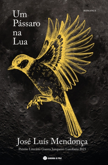 UM PÁSSARO NA LUA