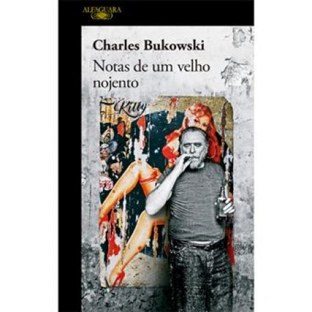 NOTAS DE UM VELHO NOJENTO