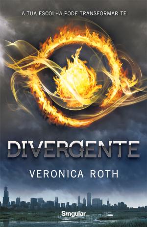 05947.10 - DIVERGENTE