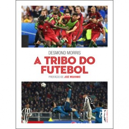 A TRIBO DO FUTEBOL