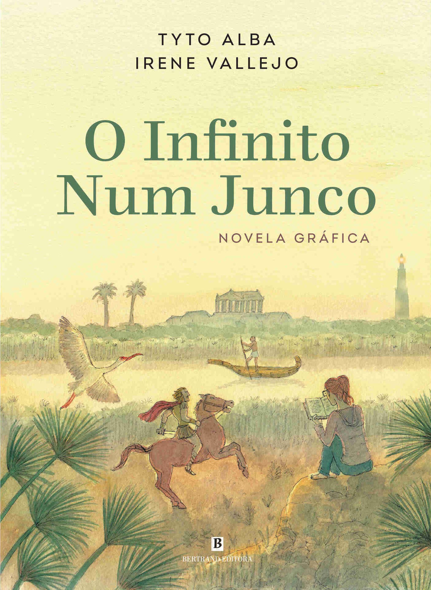 O INFINITO NUM JUMBO - novela gráfica