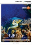TURTLES ANCIENT SYMBOL/ MODERN SURVIVOR INTERACTIVE READERS B2
