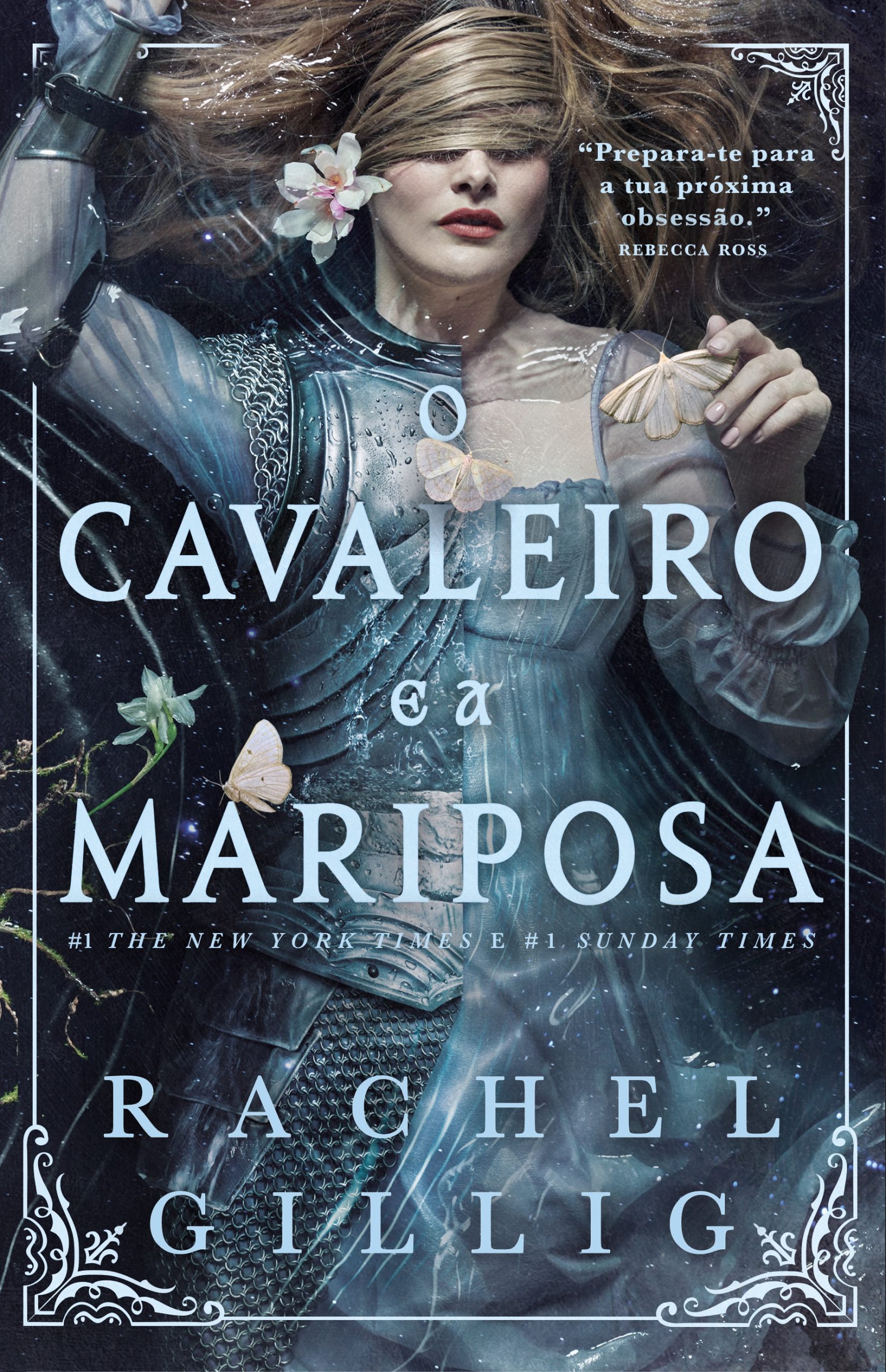 O CAVALEIRO E A MARIPOSA