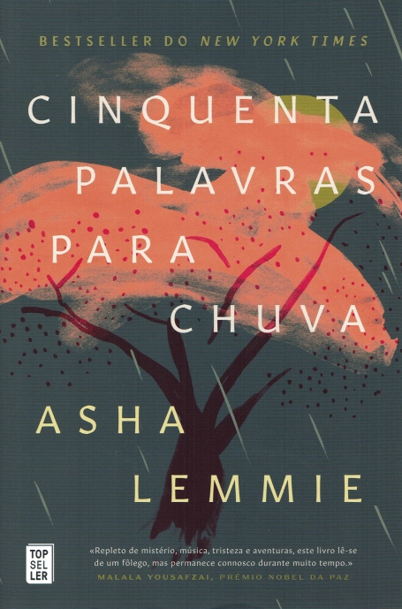 CINQUENTA PALAVRAS PARA A CHUVA