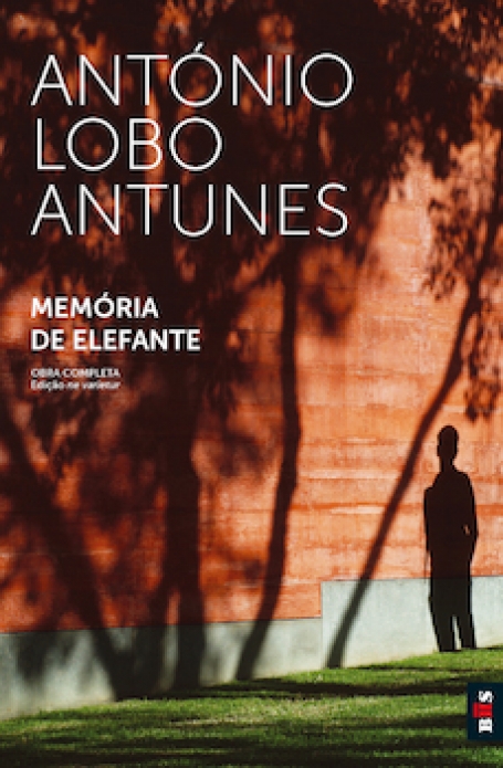 MEMÓRIA DE ELEFANTE