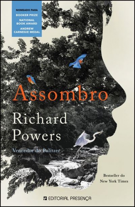 ASSOMBRO