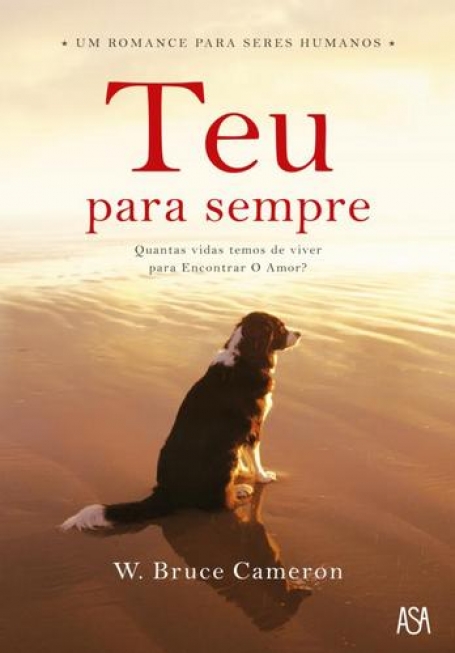 TEU PARA SEMPRE