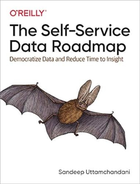 THE SELF-SERVICE DATA ROADMAP