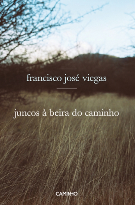 JUNCOS A BEIRA DO CAMINHO