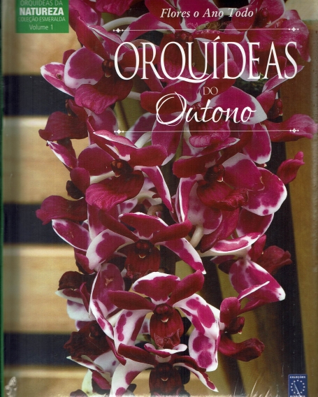 ORQUIDEAS DO OUTONO - FLORES TODO O ANO ( VOLUME 1)