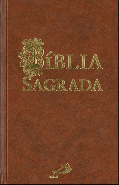 BIBLIA SAGRADA - castanha
