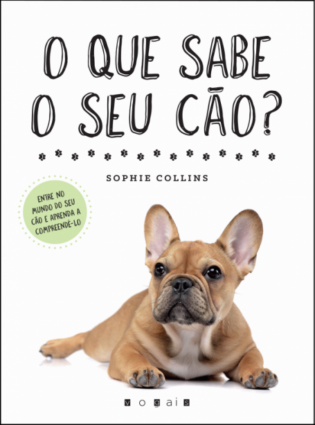 O QUE SABE O SEU CAO?