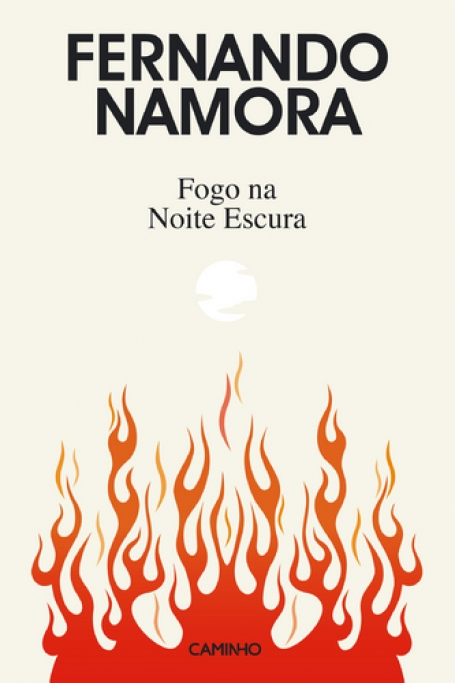 FOGO NA NOITE ESCURA