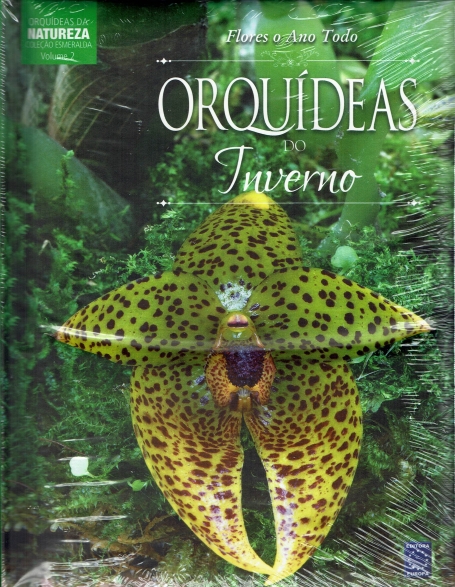 ORQUIDEAS DO INVERNO