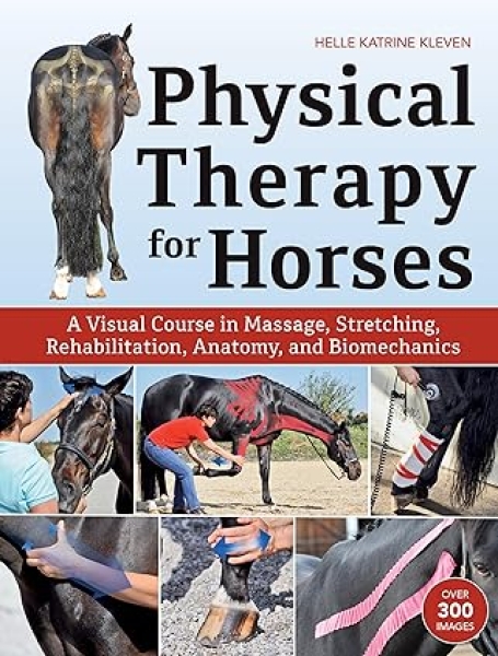 PHYSICAL THERAPY FOR HORSES