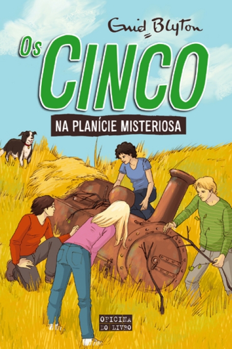 OS CINCO NA PLANICIE MISTERIOSA