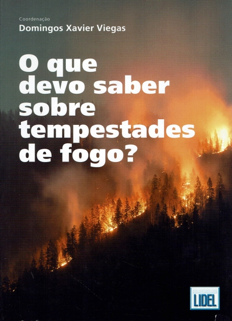 O QUE DEVO SABER SOBRE TEMPESTADES DE FOGO