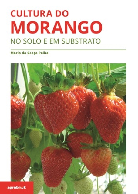 Cultura do Morango - no solo e em substrato