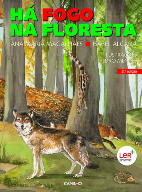 HA FOGO NA FLORESTA