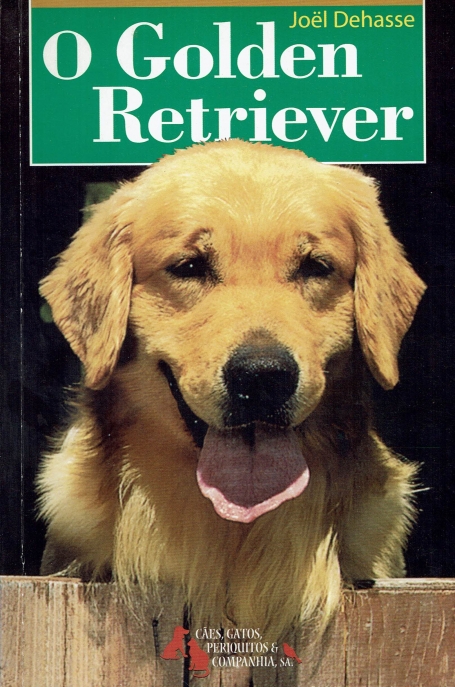 GOLDEN RETRIVER