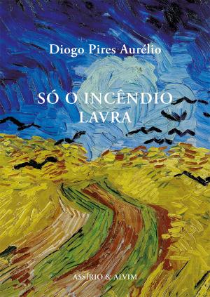79628.10 - SÓ O INCÊNDIO LAVRA