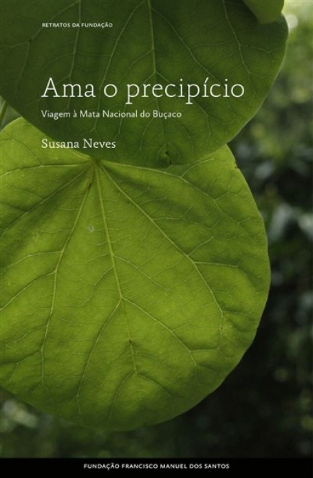 AMA O PRECIPÍCIO - VIAGEM À MATA NACIONAL DO BUÇACO