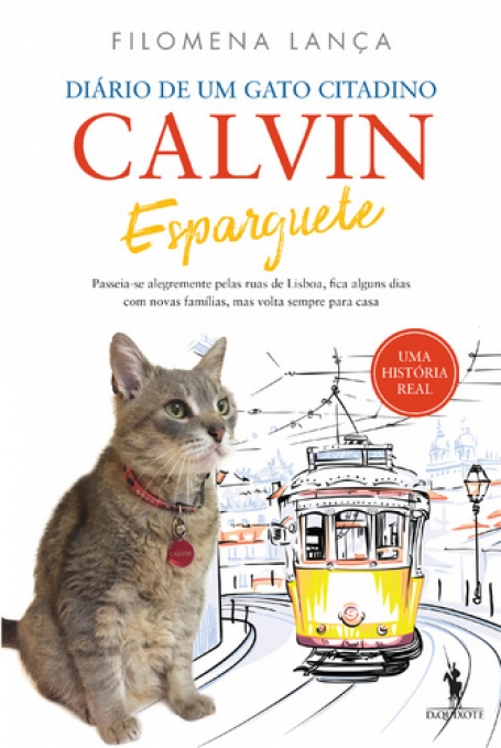 CALVIN ESPARGUETE - DIARIO DE UM GATO CITADINO