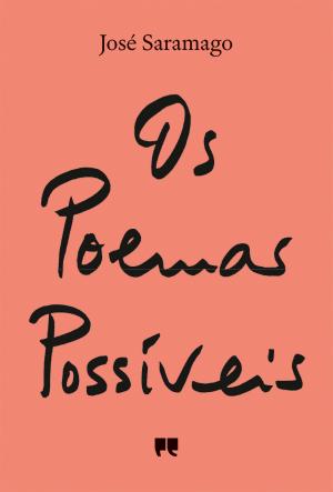 04685 - POEMAS POSSIVEIS