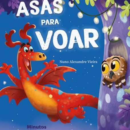 ASAS PARA VOAR