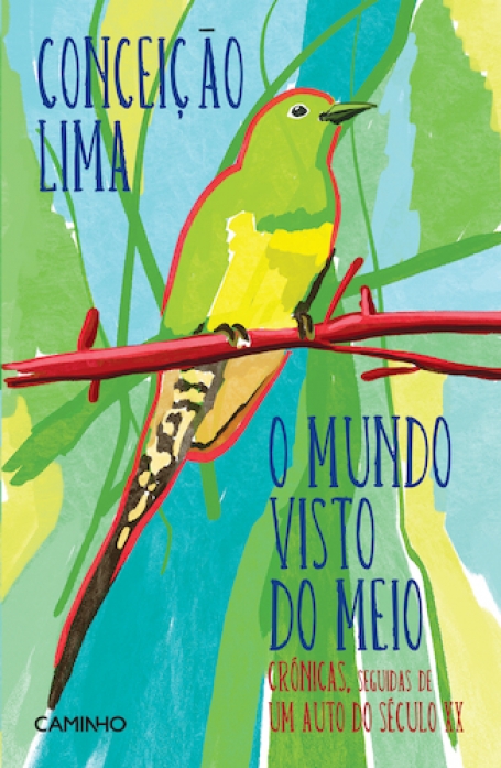 O MUNDO VISTO DO MEIO