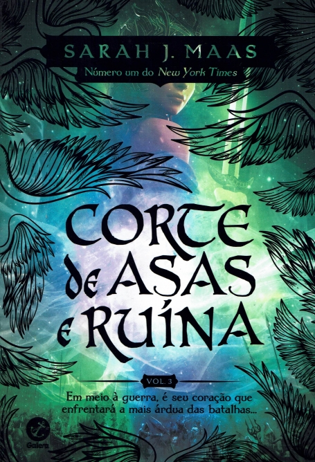CORTE DE ASAS E RUINA Nº3