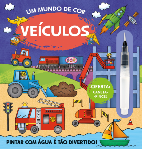 UM MUNDO DE COR VEÍCULOS