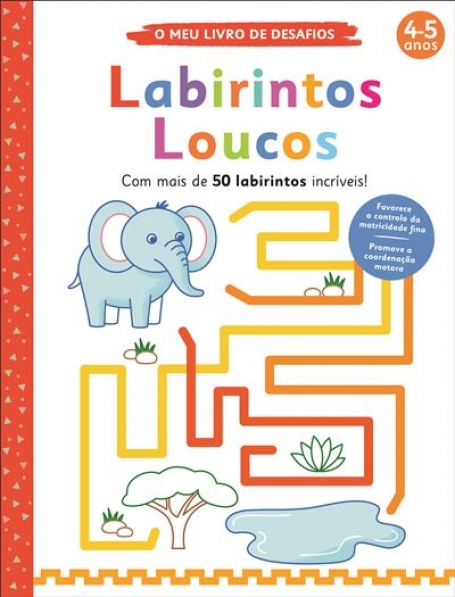 LABIRINTOS LOUCOS - O meu livro de desafios
