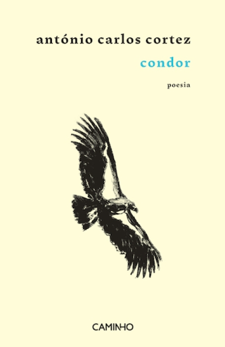 CONDOR