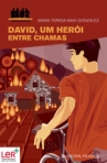 DAVID, UM HEROI ENTRE CHAMAS