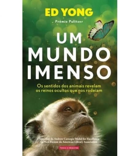 UM MUNDO IMENSO