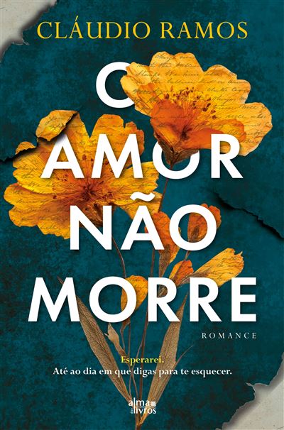 O AMOR NÃO MORRE