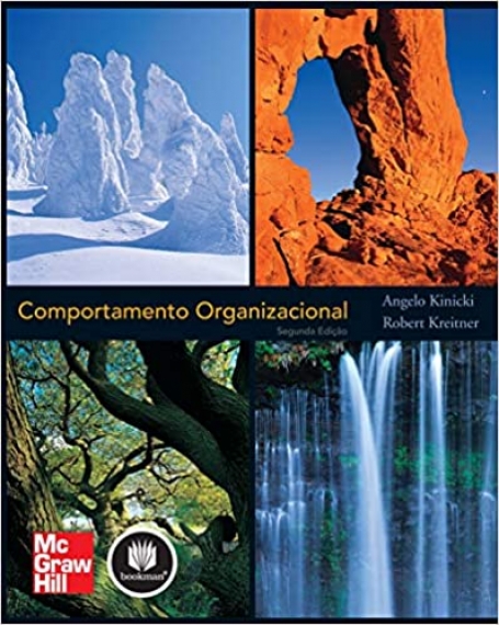 COMPORTAMENTO ORGANIZACIONAL
