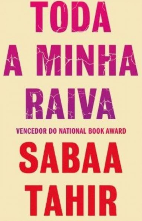 TODA A MINHA RAIVA