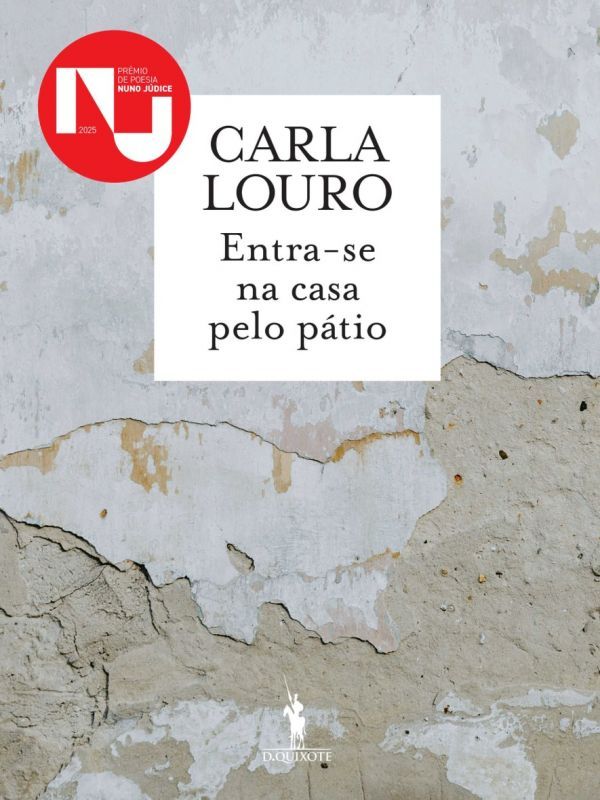 ENTRA-SE NA CASA PELO PATIO
