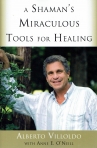 A SHAMAN S MIRACULOUS TOOLS FOR HEALING